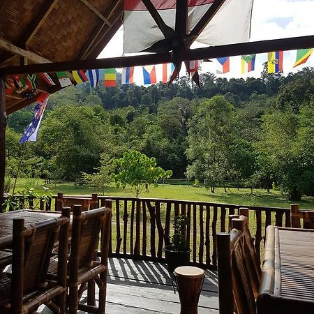 Batu Kapal Guest House & Jungle Trekking Bukit Lawang Εξωτερικό φωτογραφία