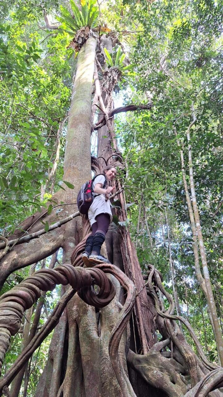 Batu Kapal Guest House & Jungle Trekking Bukit Lawang Εξωτερικό φωτογραφία