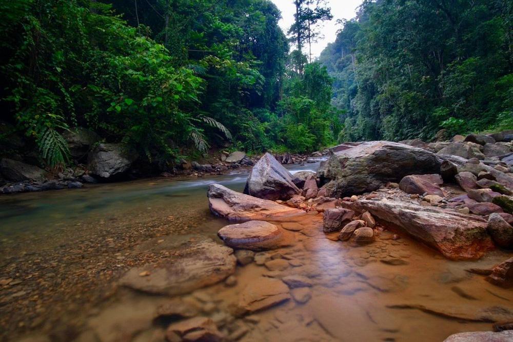 Batu Kapal Guest House & Jungle Trekking Bukit Lawang Εξωτερικό φωτογραφία