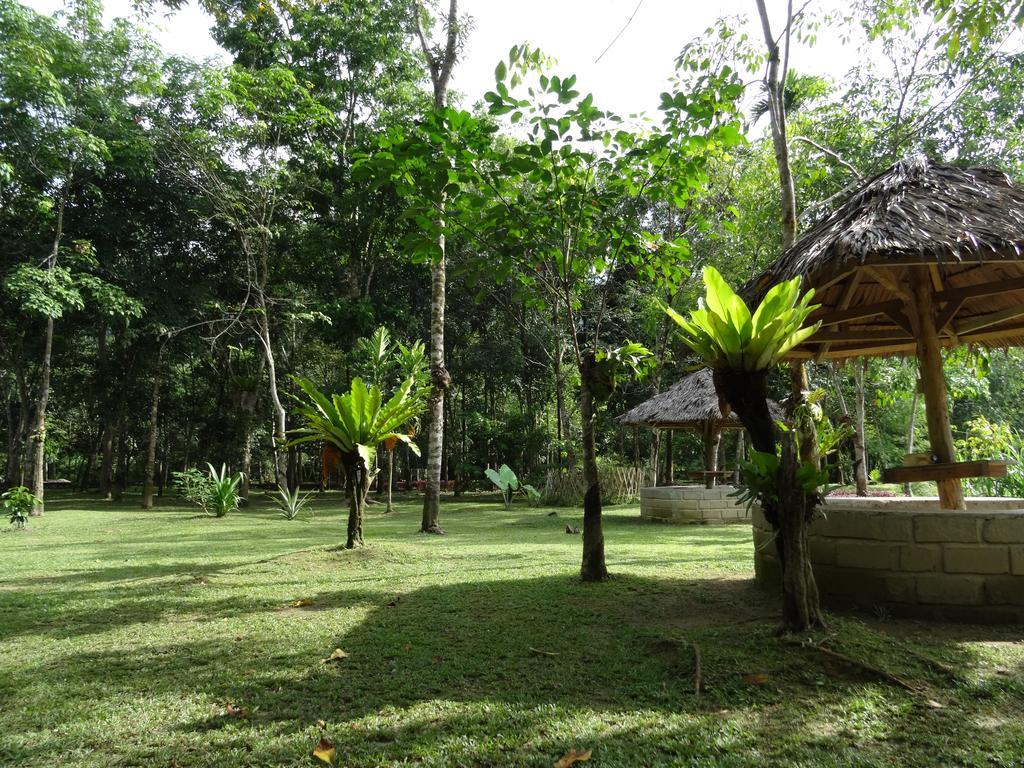 Batu Kapal Guest House & Jungle Trekking Bukit Lawang Εξωτερικό φωτογραφία