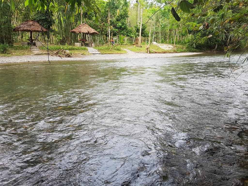 Batu Kapal Guest House & Jungle Trekking Bukit Lawang Εξωτερικό φωτογραφία