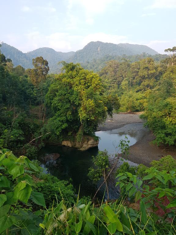 Batu Kapal Guest House & Jungle Trekking Bukit Lawang Εξωτερικό φωτογραφία